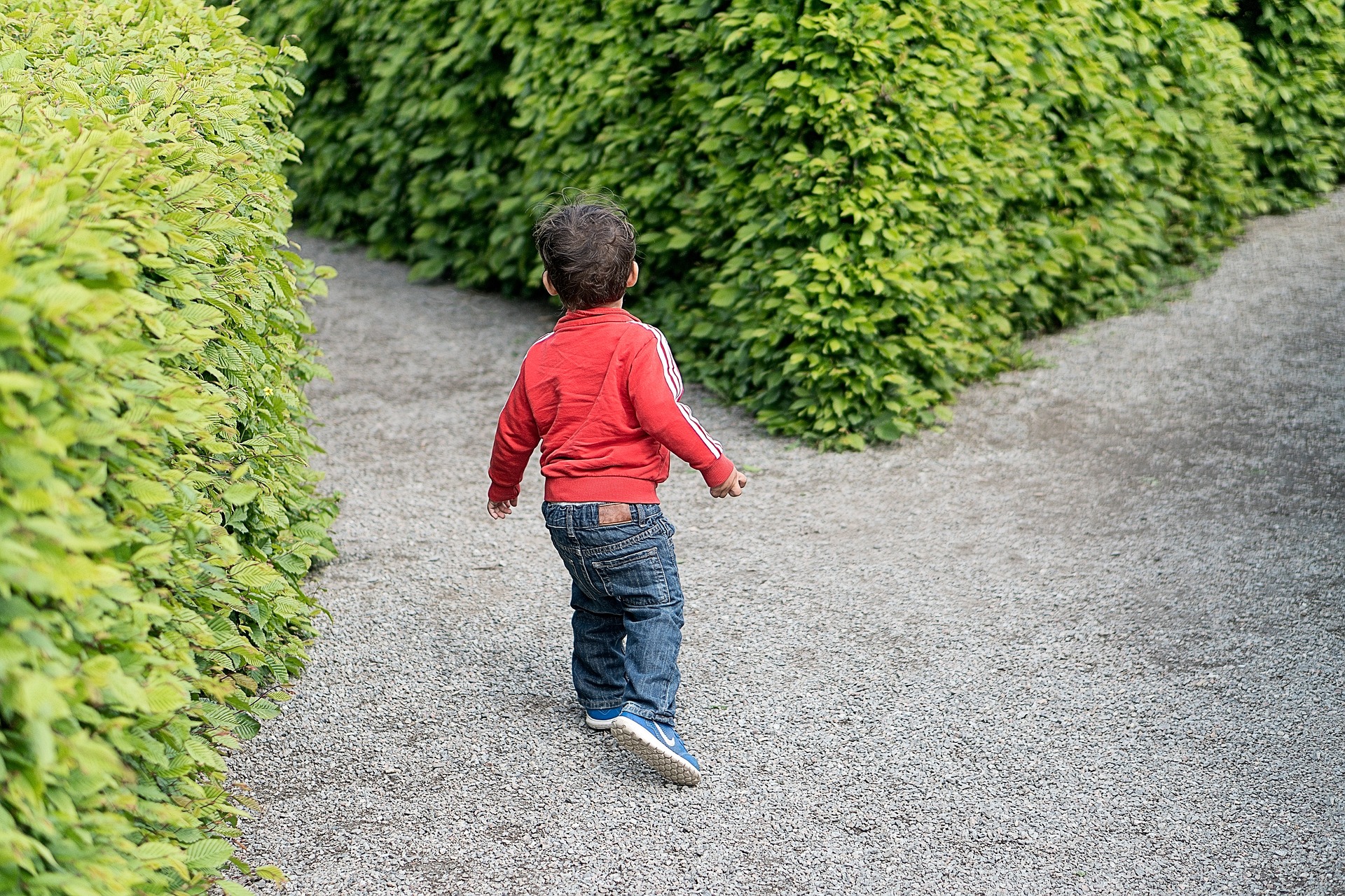 Foto de uma criança pequena, de costas, andando por um caminho cercado por arbustos, tomando o rumo da esquerda num momento de bifurcação.