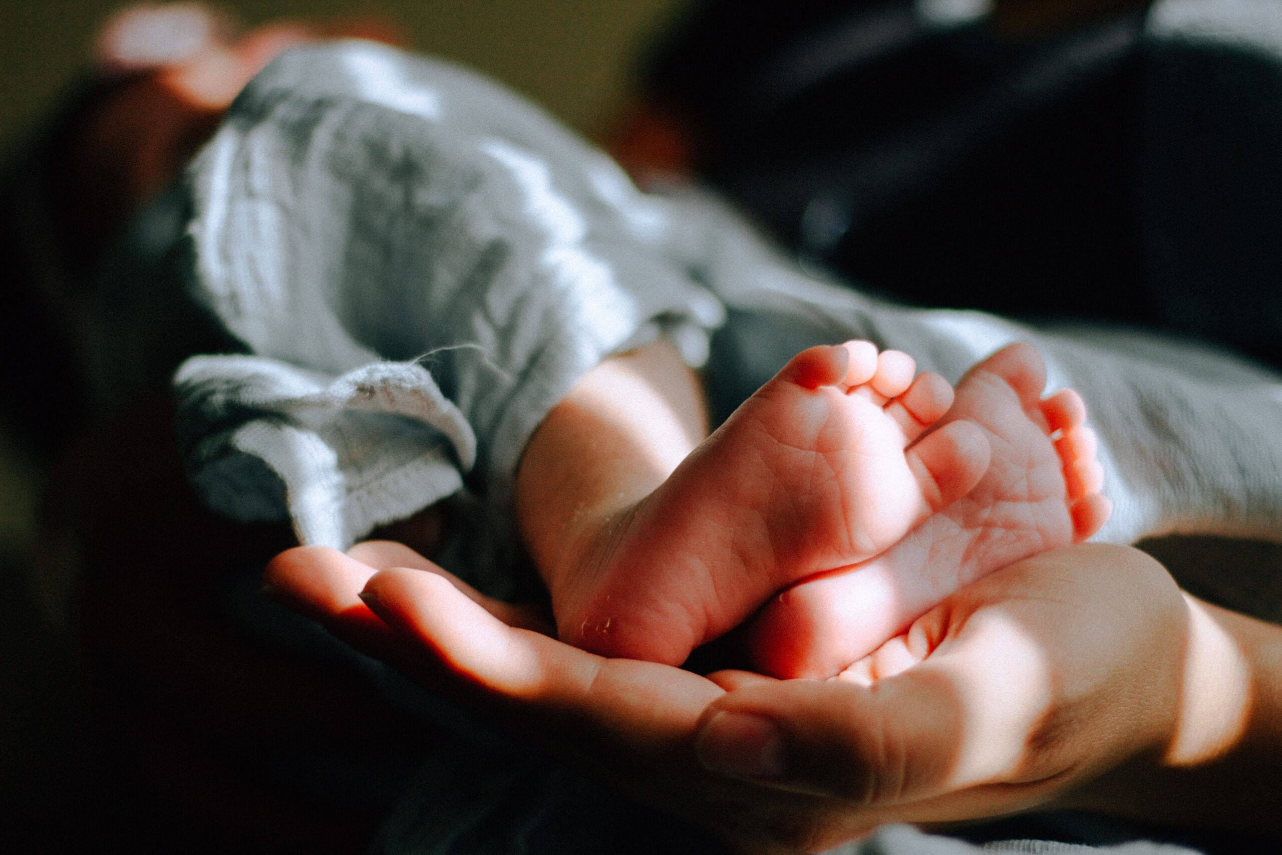 Mão segurando dois pés de bebês